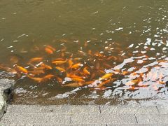 -刘伯温故里景区百丈漈
