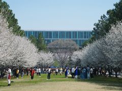 -同济大学(嘉定校区)