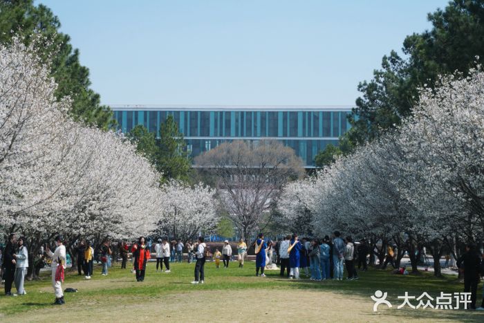 同济大学(嘉定校区)图片