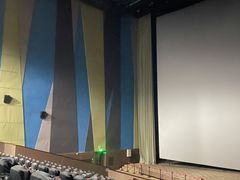 -天幕新彩云国际影城(激光巨幕店)