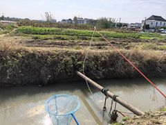 -乡乐园蟹庄·阳澄湖农家乐