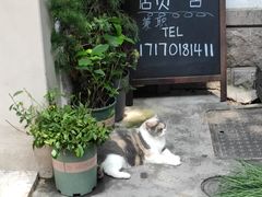 -小河直街历史文化街区