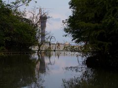 -吴淞炮台湾湿地森林公园烧烤区