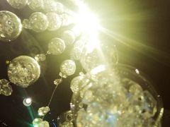 -广州四季酒店·佰鲜汇·现代法餐