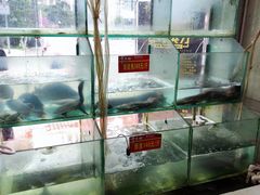 水产区-干老四雅鱼饭店(滨江西路店)