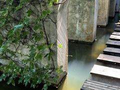 -燕晗山郊野公园