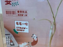-一只酸奶牛(丹尼斯大卫城店)