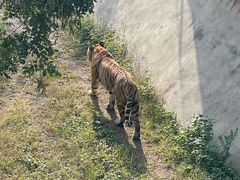 -石家庄市动物园