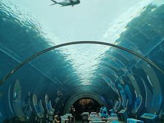 -海棠湾洲际-涛·海底餐厅·美人鱼·自助餐·海底隧道