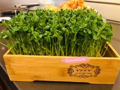 豆苗-捞王锅物料理(上海世茂广场店)