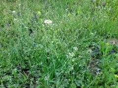 -敕勒川草原文化旅游区