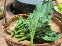 -蘑界·野生菌火锅(深业上城店)