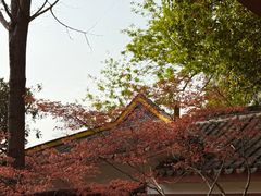 -包公祠