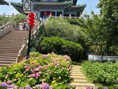 -阅江楼风景区