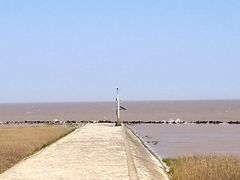 -南汇嘴观海公园