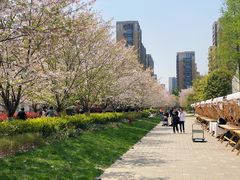 -新天地活力PARK