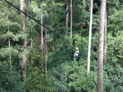 -清迈丛林飞跃 JungleFlight