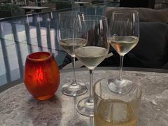 -四季酒店·空中花园 Aria on 9