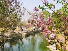 -三里河公园