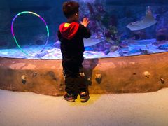 -沈阳海洋探索中心