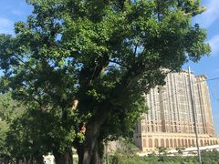 -龙环葡韵住宅式博物馆