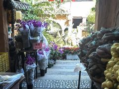 -园林美食城·本土农家菜(杨和镇店)