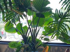 -J Create城市露营咖啡·简餐·宠物(上海动物园店)