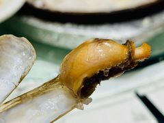 -华盛丰温州大排档(东三环南路店)