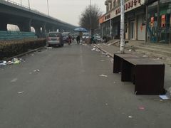 -中环花鸟鱼虫市场