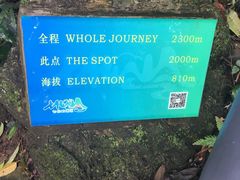 -七仙岭温泉国家森林公园