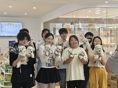 -翊宠yipet猫狗购宠庄园
