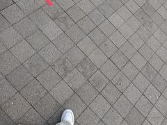 -凯德MALL(望京店)