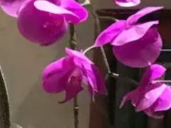 -东方之珠洗浴休闲广场(南开店)