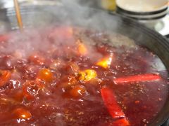 红锅锅底-星鸿社重庆老火锅