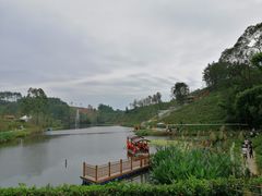 -黄龙溪欢乐田园