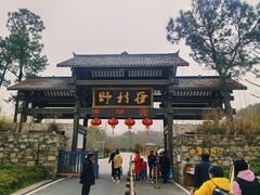 -黄陂区野村谷景区