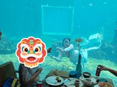 -海棠湾洲际-涛·海底餐厅·龙虾·牛排·美人鱼
