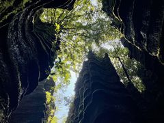 -梭布垭石林景区