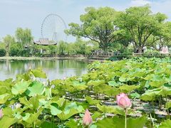 -无锡蠡湖国家湿地公园-蠡园