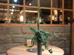 -塚田农场(悠唐店)