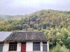 -宁波浙东大竹海景区