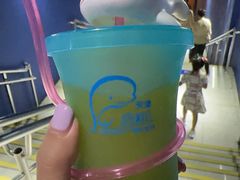 -海合安天津极地海洋公园