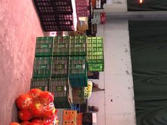 -双福水果批发市场