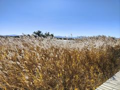 -野鸭湖国家湿地公园