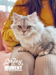 -Beauty Nails 美甲美睫皮肤管理