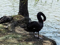 -华东政法大学(松江校区)