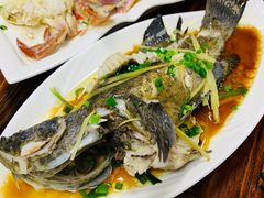 清蒸鱼-开禾52阿伟海鲜加工