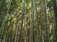 -同里国家湿地公园