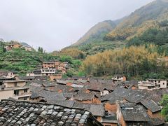 -杨家堂村