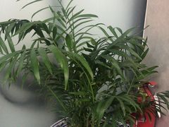 -橙果24h自习室(花园桥店)